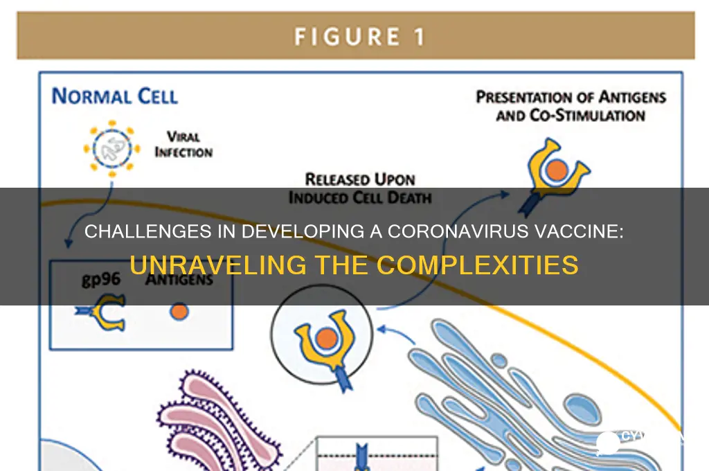 why is it hard to find a vaccine for coronavirus