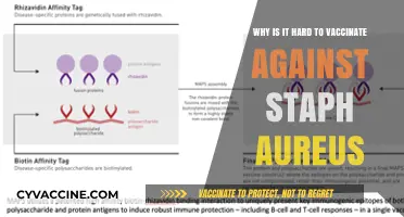 Challenges in Developing Effective Staph Aureus Vaccines: Unraveling the Complexity