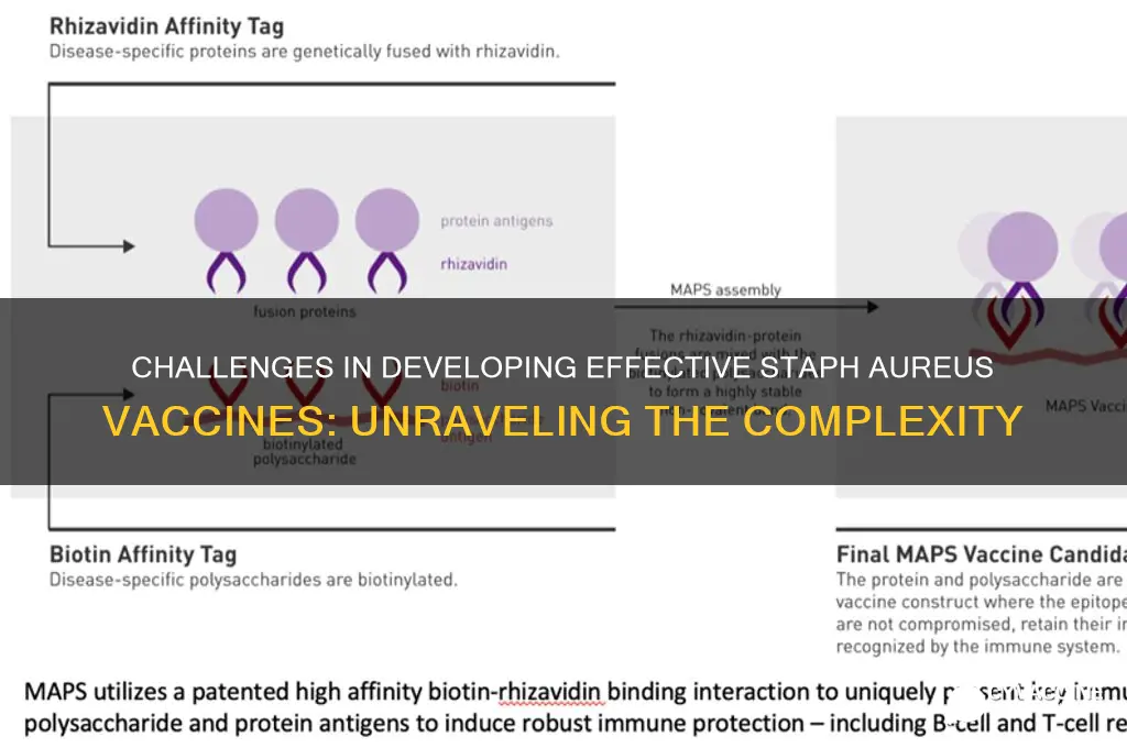 why is it hard to vaccinate against staph aureus