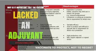 Vaccine Without Adjuvant: Understanding Its Importance and Impact on Immunity