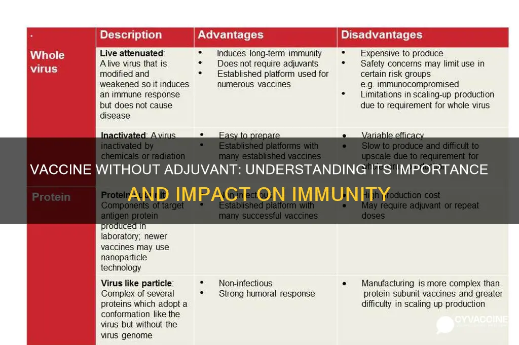 why is it important that the vaccine lacked an adjuvant