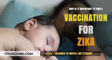 Urgent Need for Zika Vaccine: Protecting Global Health and Preventing Outbreaks