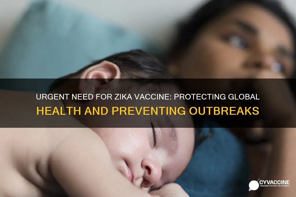 why is it important to find a vaccination for zika