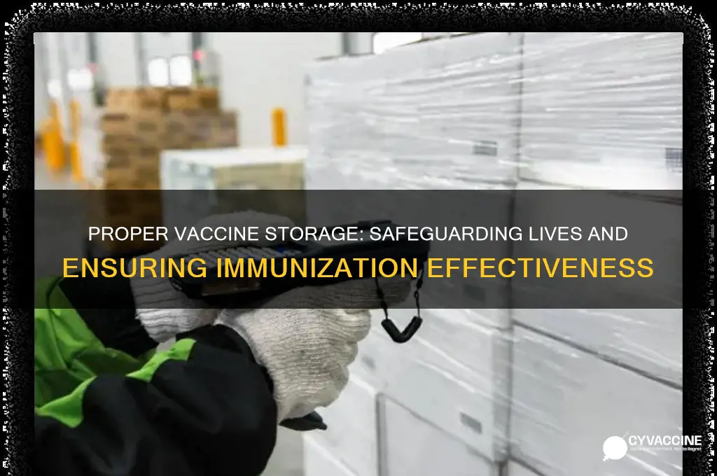 why is it important to store vaccines correctlhy