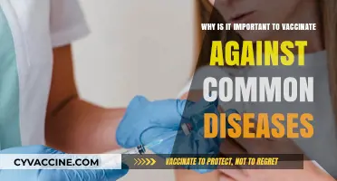 Protecting Health: The Vital Importance of Vaccinating Against Common Diseases