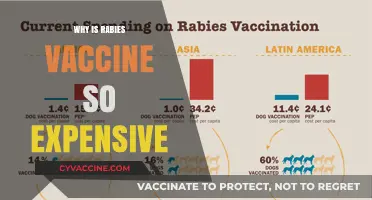 Understanding the High Cost of Rabies Vaccines: Key Factors Explained