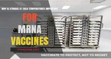 Cold Storage: mRNA Vaccine Efficacy Preserved