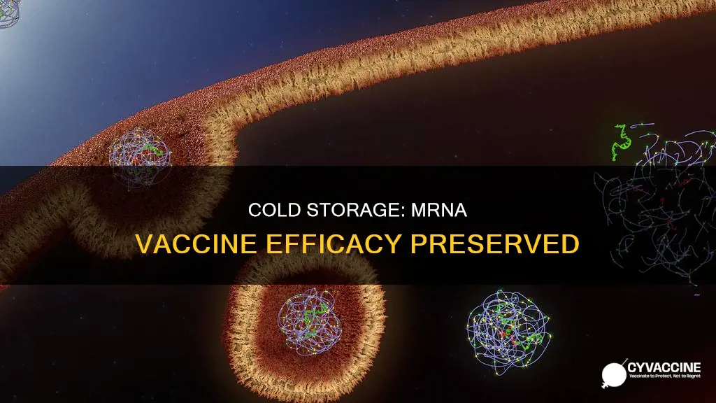 why is storage at cold temperatures important for mrna vaccines