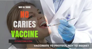 Why Dental Caries Lacks a Vaccine: Exploring the Scientific Challenges