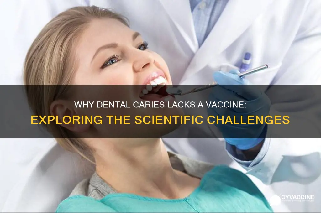why is there no caries vaccine
