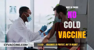Why We Still Lack a Universal Cold Vaccine: Unraveling the Mystery