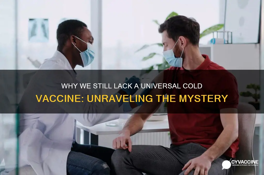 why is there no cold vaccine