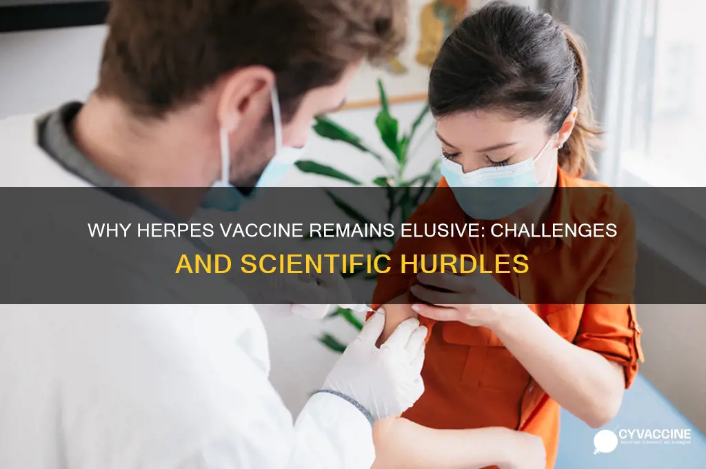 why is there no herpes vaccine