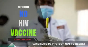 The Elusive HIV Vaccine: Challenges and Ongoing Scientific Pursuit