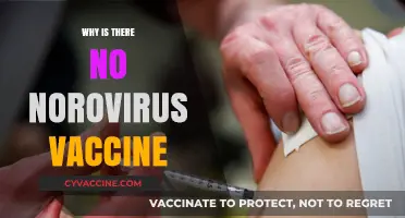 Why Norovirus Lacks a Vaccine: Challenges and Future Prospects