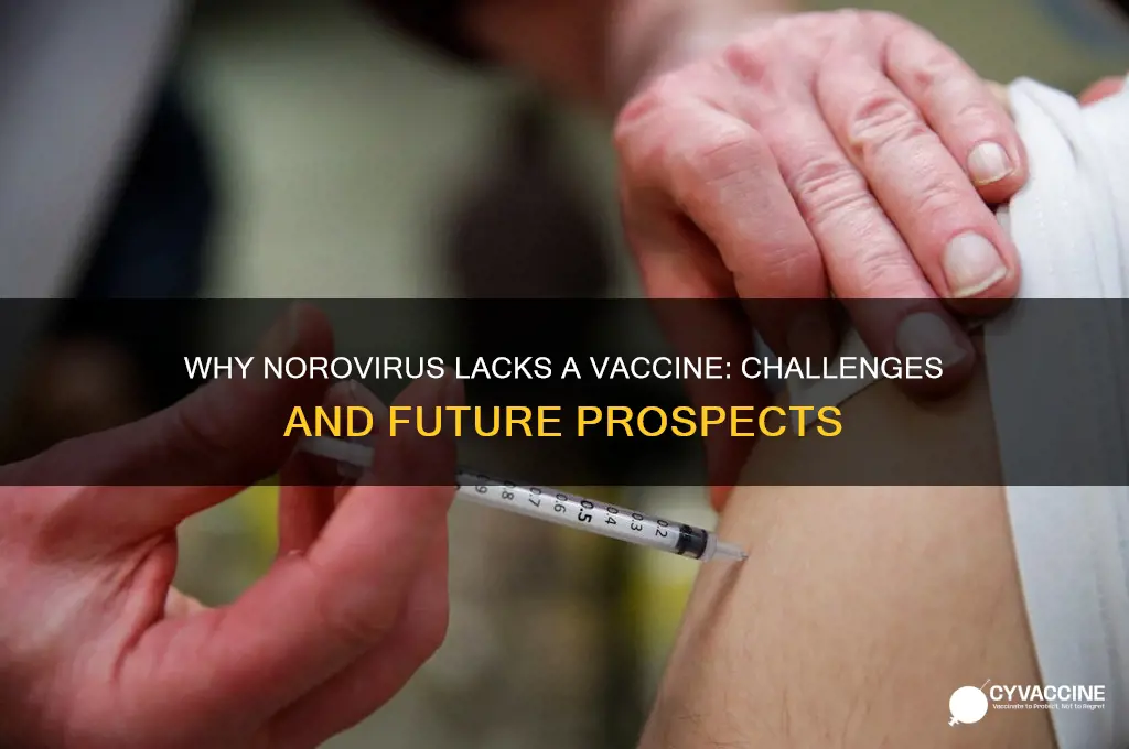 why is there no norovirus vaccine