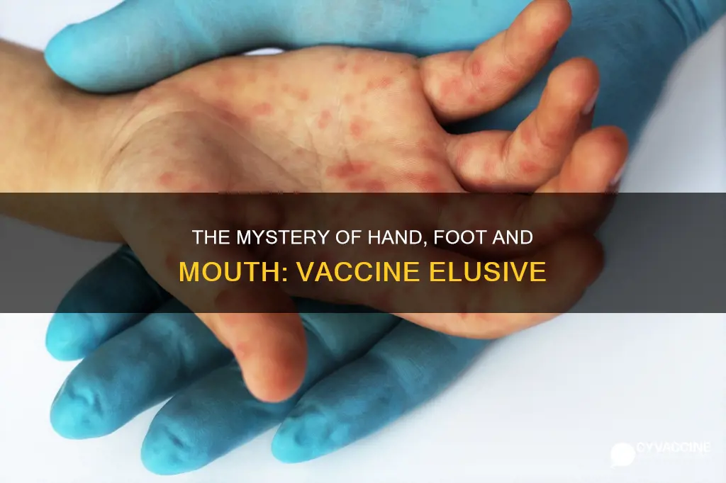 why is there no vaccine for hand foot and mouth