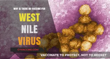 The Mystery of West Nile Virus Vaccines