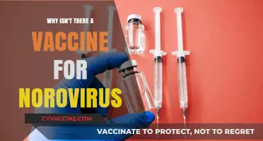 The Challenge of Developing a Norovirus Vaccine