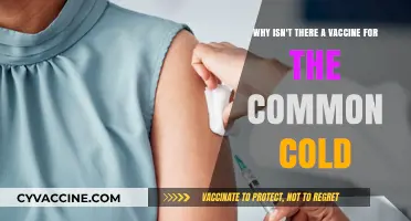 The Common Cold: Why No Vaccine Yet?