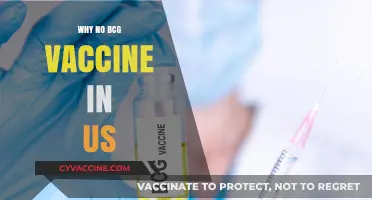 Why the US Doesn't Use the BCG Vaccine: Key Reasons Explained